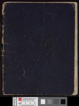 'Yr Arwr' by Hedd Wyn,