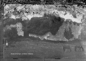 Open original Digital object