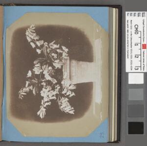 Open original Gwrthrych digidol