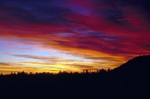 Open original Gwrthrych digidol