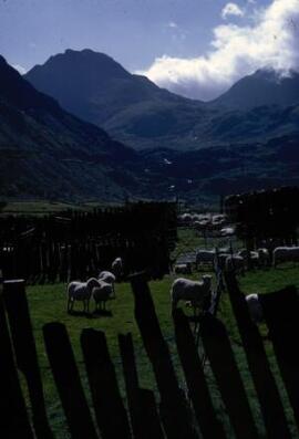 [Nant Ffrancon Valley]
