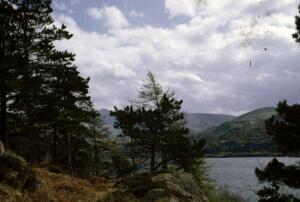 Open original Gwrthrych digidol