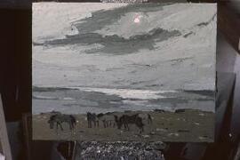 Ponies, Llanfair-yng-Nghornwy