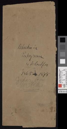 Papurau'n ymwneud â'r Wladfa Gymreig