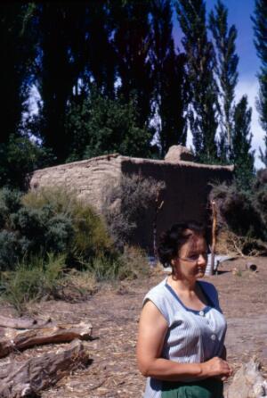 Open original Gwrthrych digidol