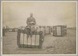 Gareth Vaughan Jones in California