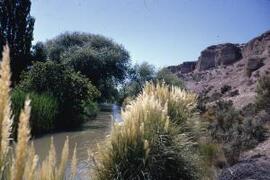 [On the banks of the Chubut]