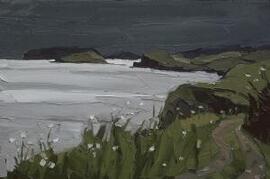 [Fedw Fawr coastline looking towards Ynys Seiriol and Penmon ]