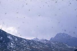 [Snow on summit of Tryfan]