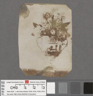 Open original Gwrthrych digidol