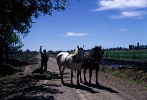 Open original Gwrthrych digidol