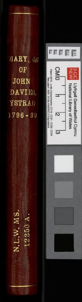 Diary, etc., of John Davies, Ystrad