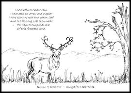 ‘King of the Sea Trees’ postcard