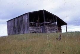 [Barn off Avenida John D Evans, Trevelin]