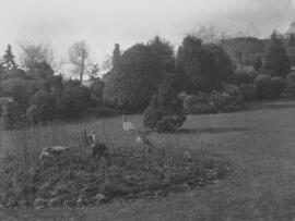 Bellevue Park, Newport