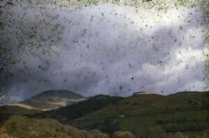 Open original Gwrthrych digidol