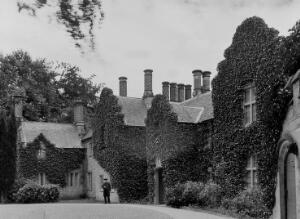 Open original Gwrthrych digidol