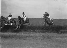 At the races, Cowbridge