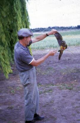 [A farmer holding a parrot]