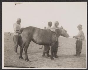 Open original Digital object