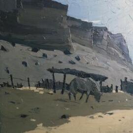 [Horse at Lle Cul, Dyffryn Camwy] : [Donkey in Patagonia]