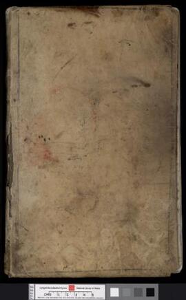 Papurau'n ymwneud â'r Wladfa Gymreig