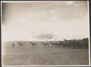 Open original Gwrthrych digidol