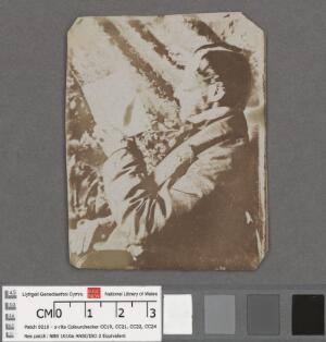 Open original Digital object