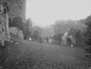 Open original Digital object