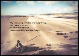 ‘Sandstorm’ postcard