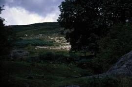 [Sheep & Hill Farmers]