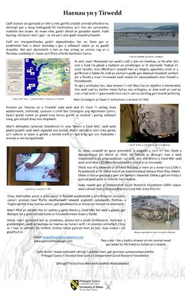 ‘Haenau yn y Tirwedd’ poster