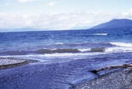 [Beach, Tierra del Fuego]