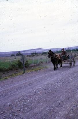 [Horse drawn cart on a dirt track]