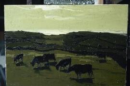 [Welsh Blacks at Aberffraw]