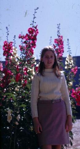 Open original Gwrthrych digidol