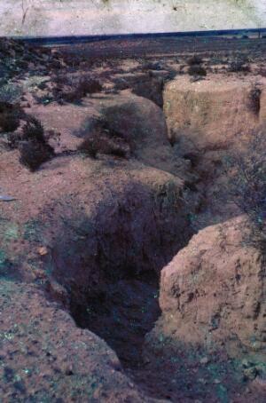 Open original Gwrthrych digidol