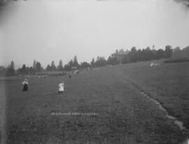 Beechwood Park, Newport