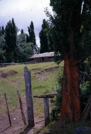 Open original Gwrthrych digidol