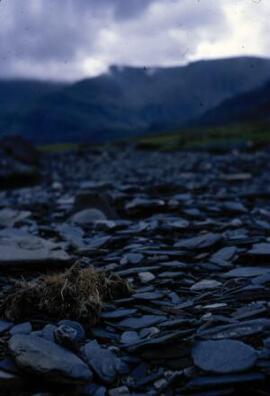 [Footpath to Cwm Idwal]