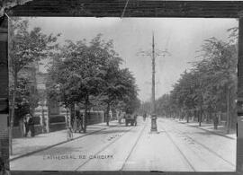 Cathedral Rd, Cardiff