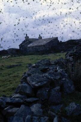 [Anglesey Farmhouse III]