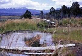 [Pond, near Trevelin]