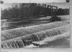 Open original Digital object