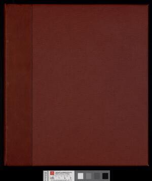 Open original Gwrthrych digidol