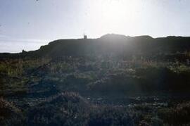 [Skyline, Parys Mountain III]