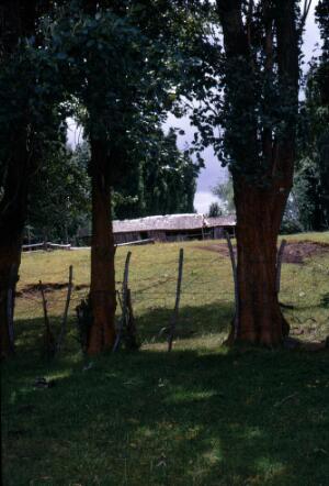 Open original Gwrthrych digidol