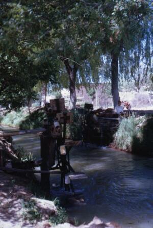 Open original Digital object