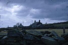 [Stone walls, sheep & cottages]