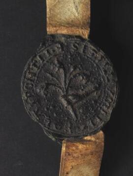 Quitclaim by Nicholas Puinz, for the soul of his lord William the Earl [of Gloucester, d. 1173], ...